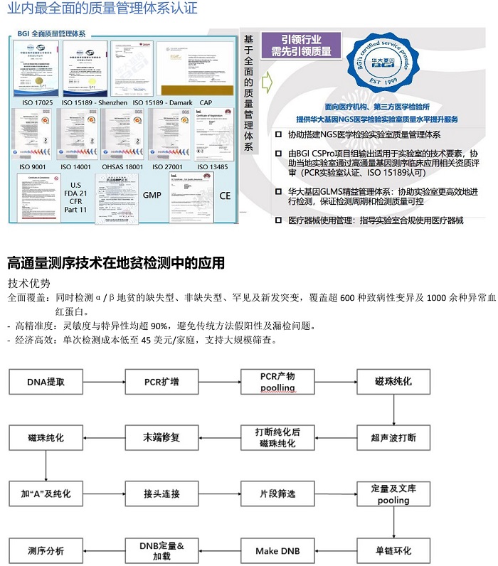 地贫检测技术-2.jpg