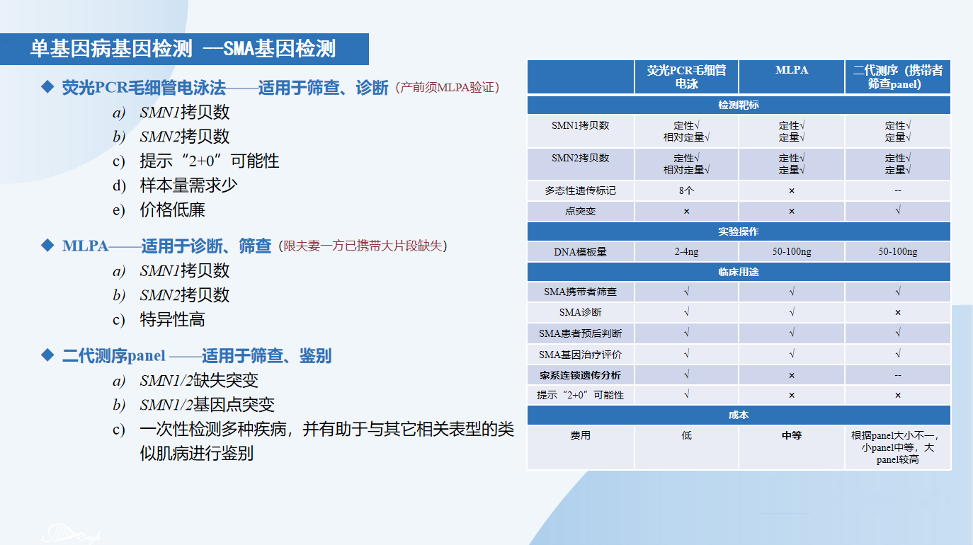 单基因病基因检测-SMA基因.png